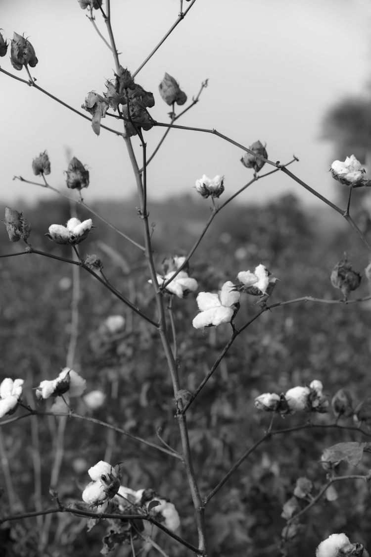 sustainability_people